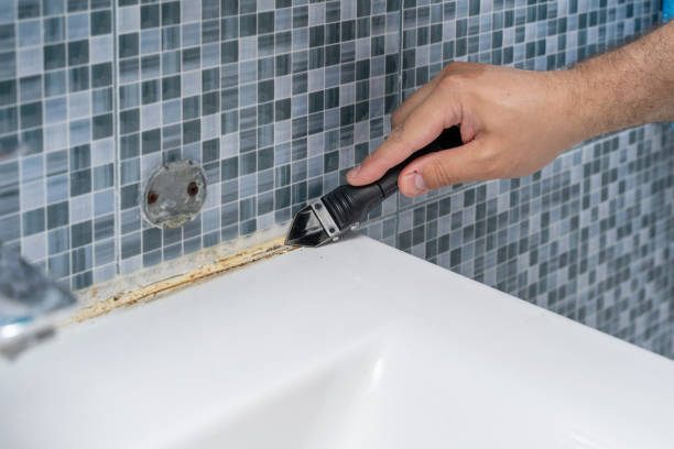 Best Local Mold Removal Service  in Westlake Vlage, IL