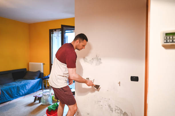 Best Mold Testing  in Westlake Vlage, IL